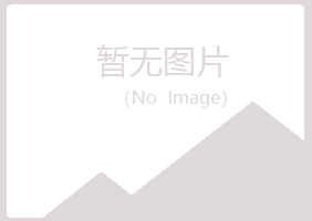 青岛崂山岑迷培训有限公司